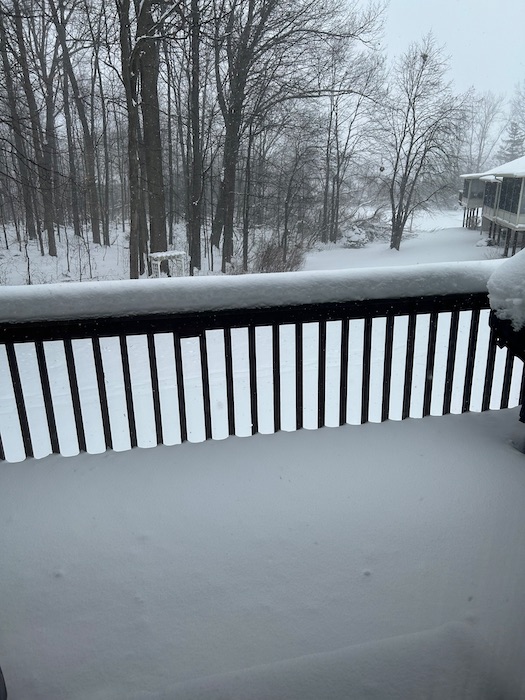 snow , lots of it in our deep freeze!