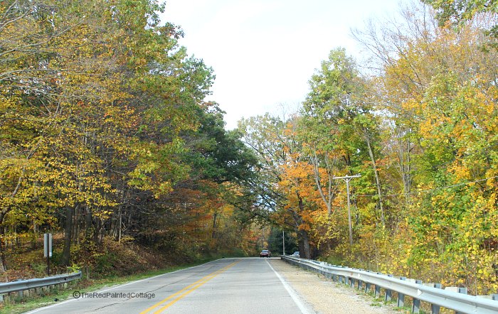 Taking The Backroads For A Color Tour