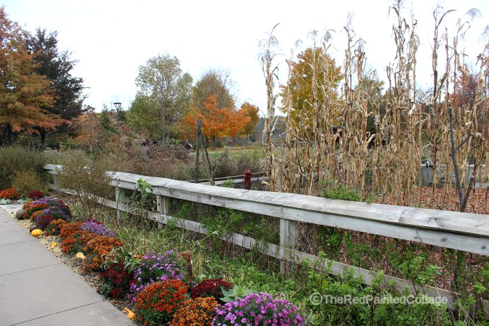 Fall At The Frederik Meijer Gardens