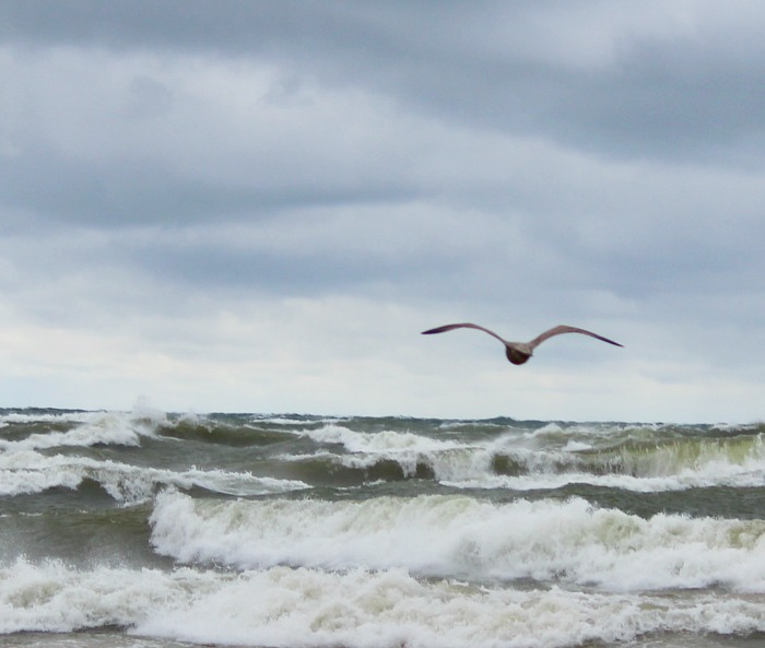 High Winds And Waves On Lake Michigan