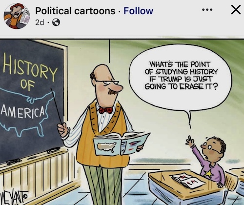 Political Cartoon