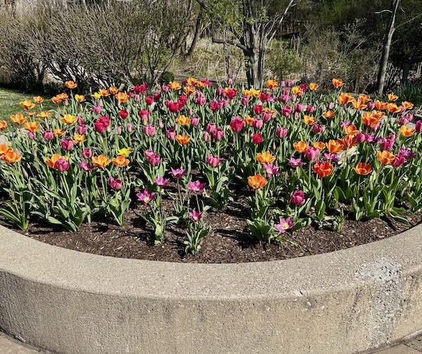 Spring has sprung