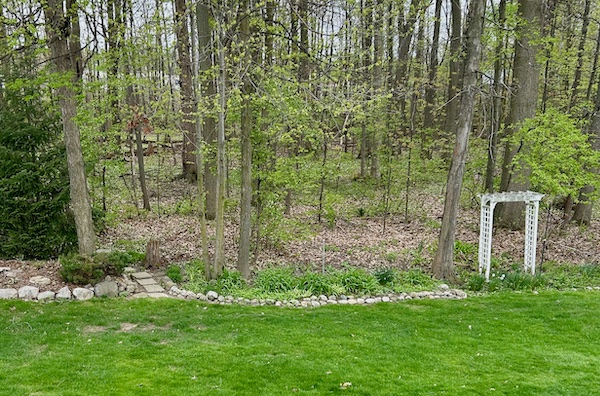 Spring has sprung