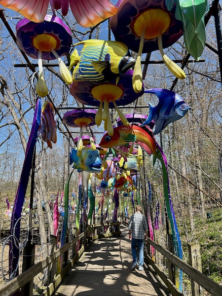 Spring has sprung
