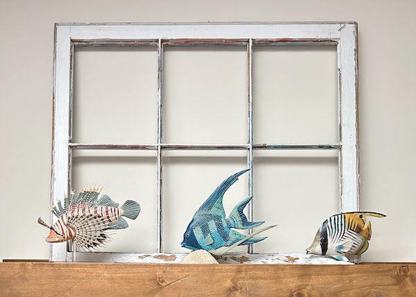 Tropical Fish